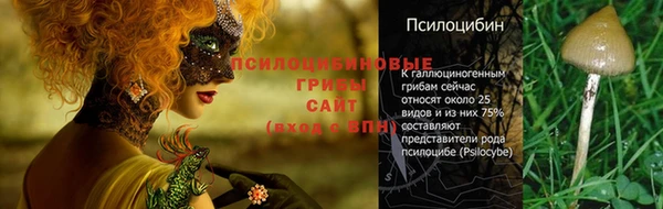 спиды Аркадак