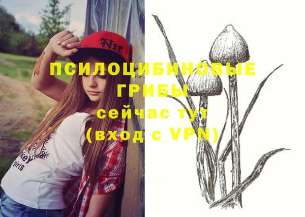 мет Алексин