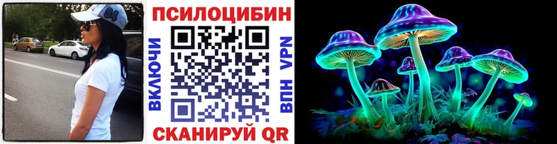 Псилоцибиновые грибы Cubensis  Купить где  Бирюсинск 